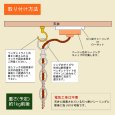 画像5: ケージ＆レンズ付真鍮製工業系ペンダントライト｜アンティーク吊下げ照明 (5)