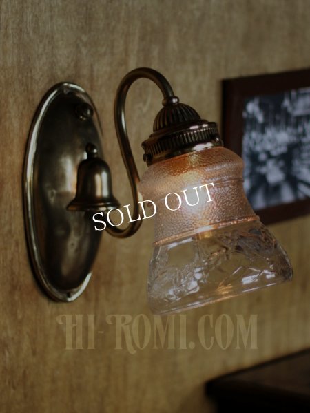 画像2: ヴィンテージコロニアル葡萄柄ガラスシェードのブラケットランプ/ヴィクトリアン壁照明 (2)