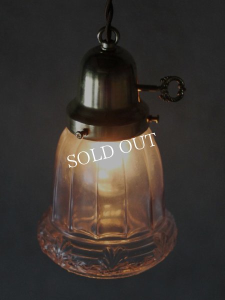 画像2: ヴィンテージペンダント照明｜草花柄アンティーク吊下げランプ (2)