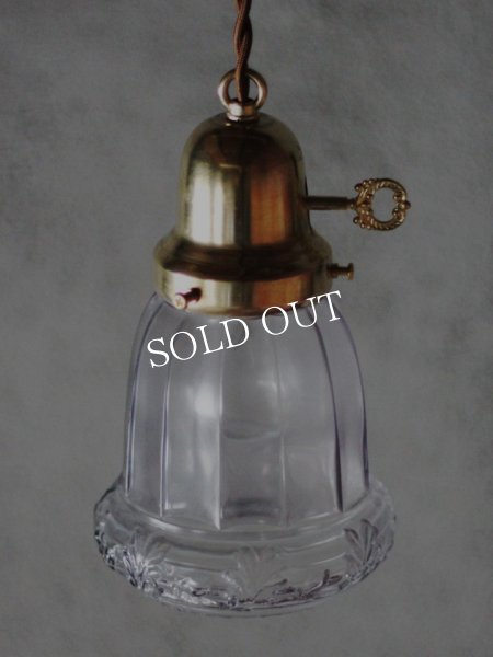 画像3: ヴィンテージペンダント照明｜草花柄アンティーク吊下げランプ (3)