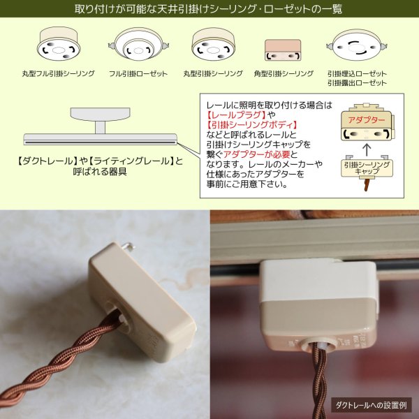 画像17: アンティーク天井照明｜花・植物6面レリーフUSAヴィンテージフロストガラスペンダントライト・アールヌーボー (17)