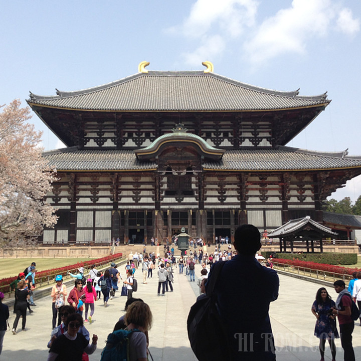 先週は桜舞い散る春満開の東大寺へ！